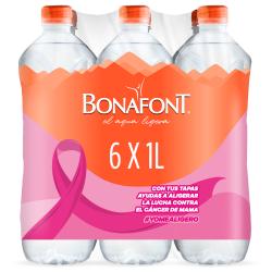 Agua Natural Bonafont 6x1L